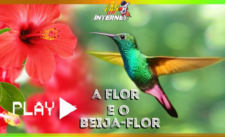 a-flor-e-o-beija-flor
