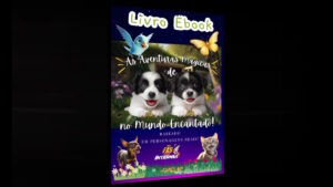 Livro Ebook