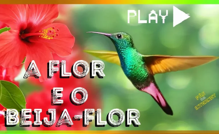 CLIPE A FLOR E O BEIJA-FLOR EM HOMENAGEM A ETERNA MARÍLIA MENDONÇA